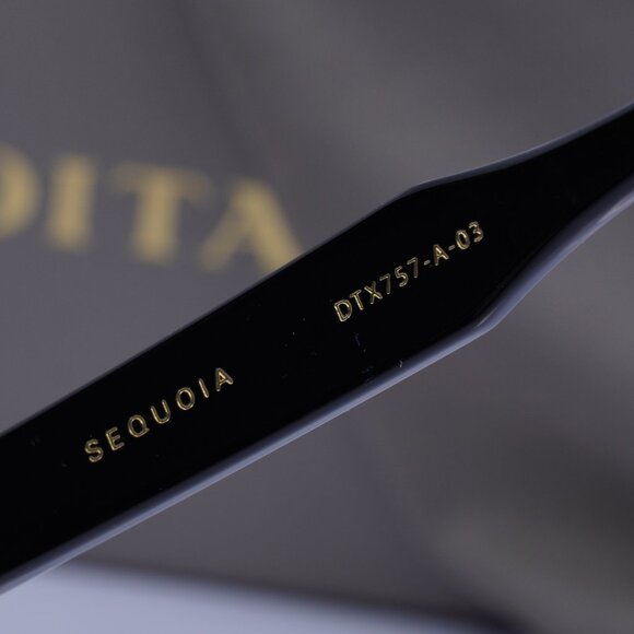 Dita SEQUOIA-DTX-757-A-03 Square Sunglasses - Black/Clear - Picture 6 of 9